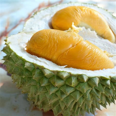 Baxtli Durian uyasi