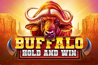  Buffalo Hold va Win uyasi