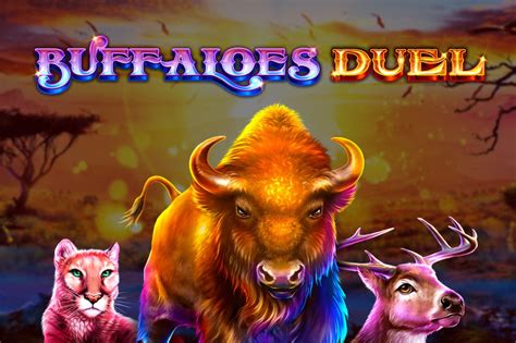  Buffaloes Duel ýeri
