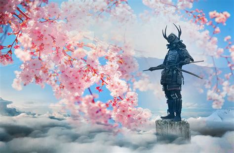 Cherry Blossom Samurai ұясы