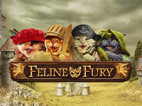  Feline Fury ýeri