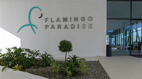  Flamingo Paradise uyasi