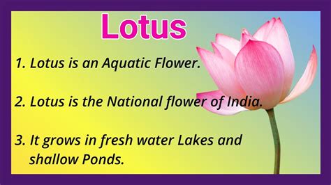  Lotus ilahəsi - 10 Lines yuvası