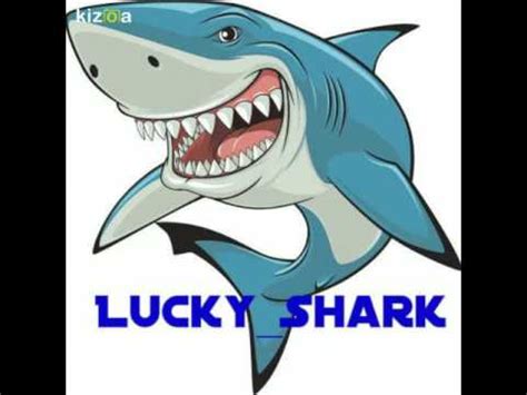  Lucky Shark yuvası