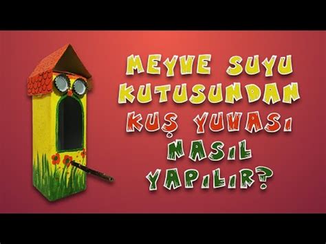  Meyve Rush yuvası