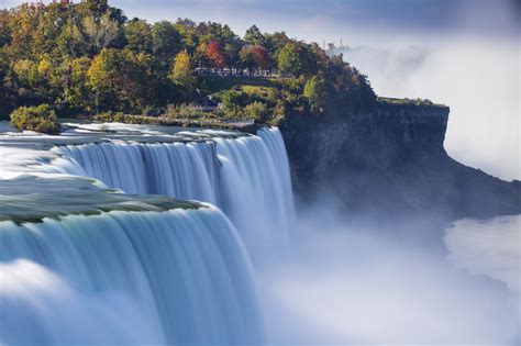  Niagara Falls ұясы