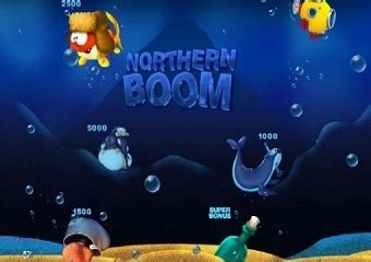  Northern Boom yuvası