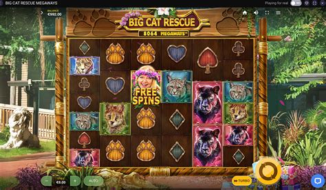  Slot Big Cat Rescue Megaways