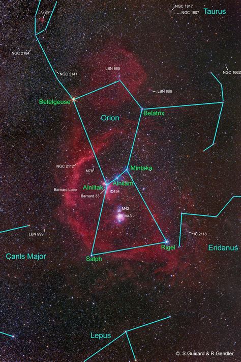  Stars of Orion ұясы