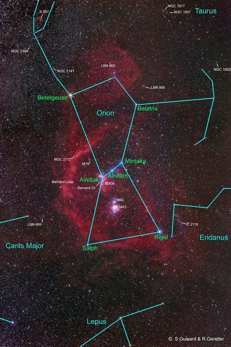  Stars of Orion yuvası