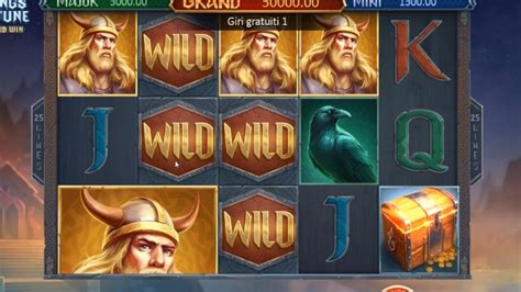  Vikings Fortune: slot Hold and Win
