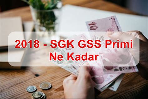 2018 sgk primi