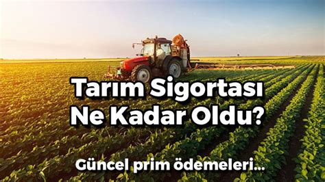 2020 ek 5 tarım sigortası ne kadar oldu