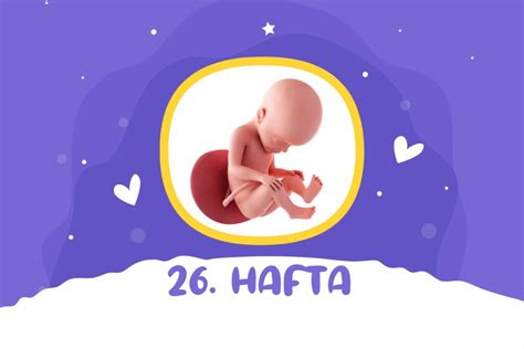 26 haftalık gebelik kaç aylık
