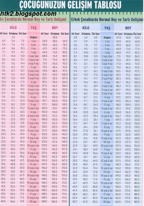 28 aylık bebek kilosu ve boyu