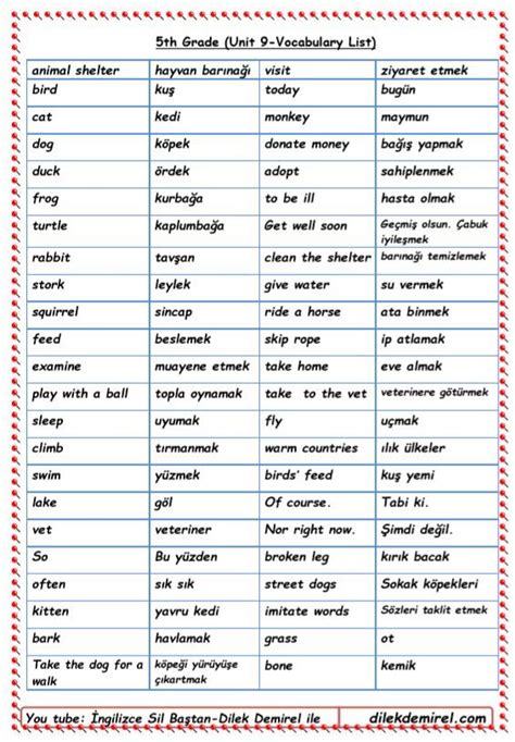 5 sınıf ingilizce kelimeler turnuvası