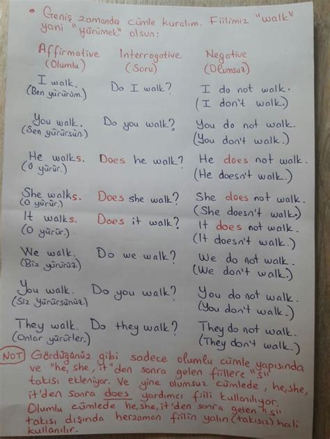 7 sınıf ingilizce olumlu olumsuz soru cümleleri ve cevapları
