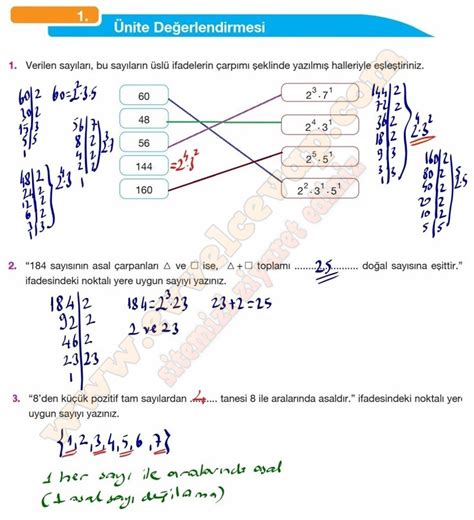 8 sınıf matematik 53 sayfa cevapları