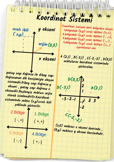 8 sınıf matematik koordinat