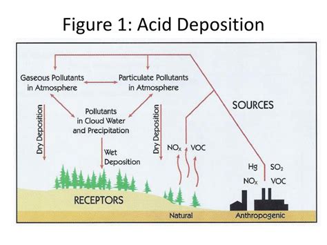 Acid Deposition Apes Definition