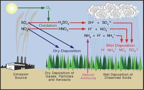 Acid Deposition Results From