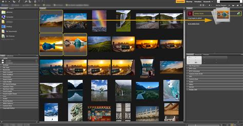 Adobe bridge cc تحميل للماك