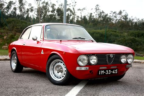 Alfa jr