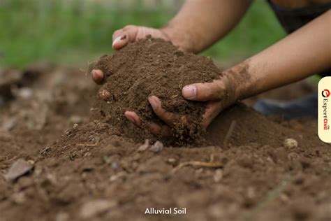 Alluvial Soil Types