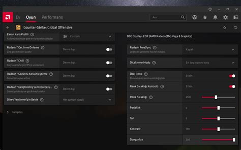 Amd cs go ayarları