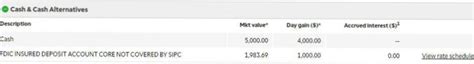 Ameritrade Fdic Insured Deposit Account