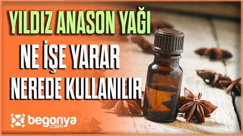 Anason aroması ne işe yarar