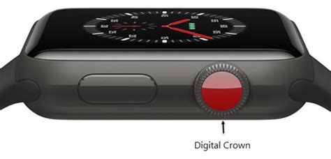Apple Watch Sim Card Number