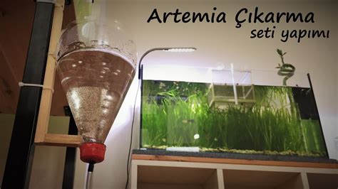 Artemia yem yapımı