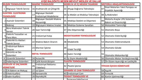 Ayşe baldöktü 2019 ustalık sınav sonuçları