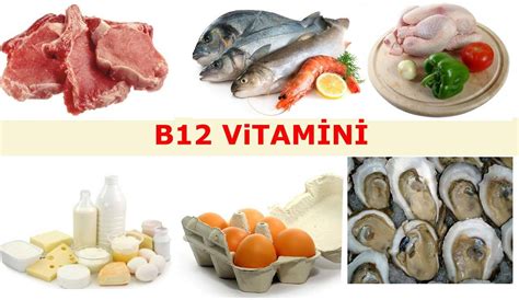 B12 zengin gıdalar