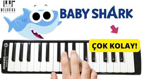 Baby shark melodika
