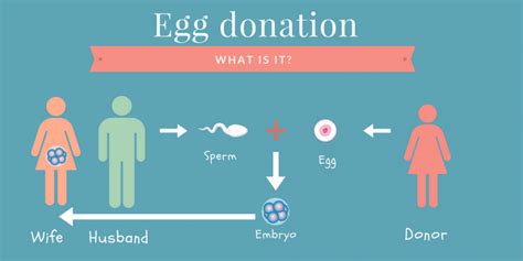 Batum da yumurta donasyonu yaptıranlar
