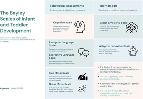 Bayley assessment tool