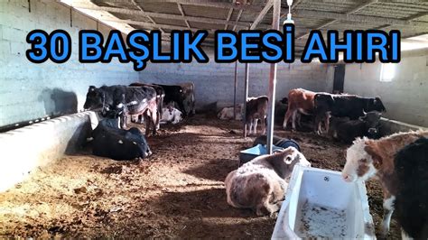 Besicilik maliyeti 2019