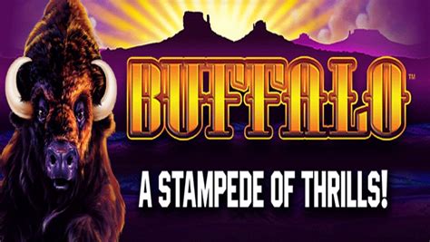 BetMGM First Online Casino in the World to Debut Buffalo.