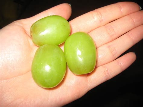 Big Green Grapes