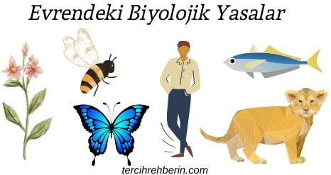 Biyolojik yasalara örnekler din kültürü