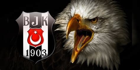 Bjk kartal sesi