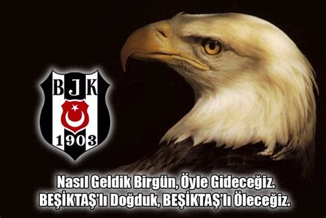 Bjk manzara