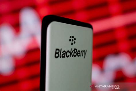 Blackberry resmi