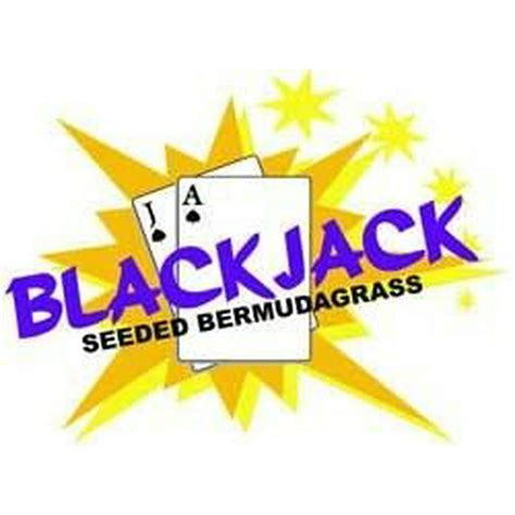 Blackjack Bermuda Seeds