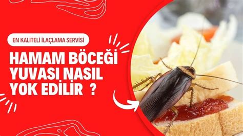 Bok böceği zenginliği yuvası