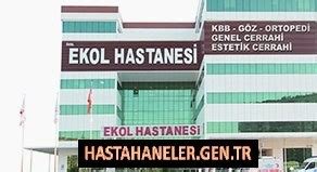 Bornovadan çiğli ekol hastanesine nasıl gidilir