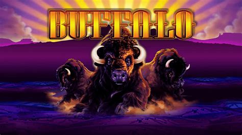 Buffalo Slot Machine Payouts