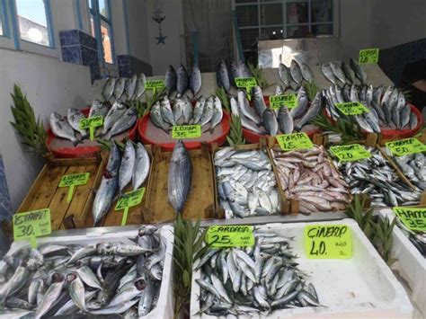 Bursa balık fiyatları